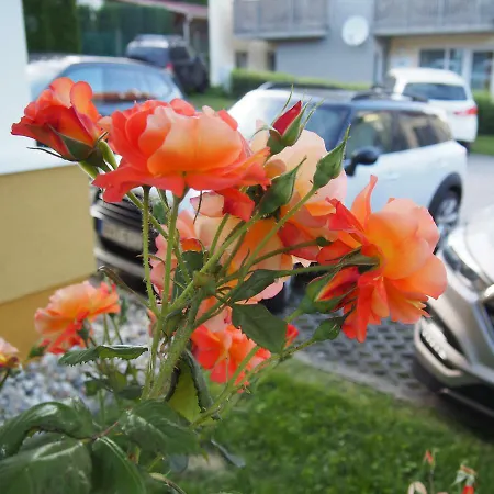 Diplomat Apartmán *